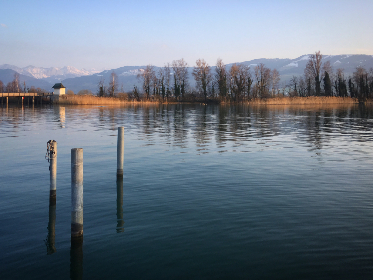 畅享VIP影院免费看，尽情体验高清影视盛宴
