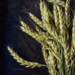 秘密教学 美娜讚:揭开她成功背后的神秘面纱与教学技巧 1sx0c7au5