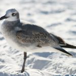 秘密森林 線上看:探索神秘森林的奇幻冒险之旅 22slpz6rr7