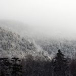 畅享久久小说免费下载:最佳TXT电子书APP推荐 2lojd5px