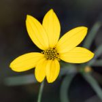 畅享9 1漫画免费观看,尽情探索精彩故事世界 6l6yej