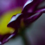 秘密研究所导航入口:探索未知领域的神秘通道与资源分享 7g61kuh