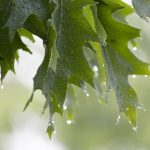 第一会所im41:探索奢华社交体验的全新风尚 7rhmpi