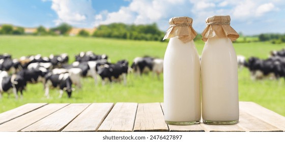 畅享不卡影院电影，尽情体验无广告观影乐趣