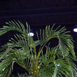 畅享AEG动漫官网在线观看,尽览精彩动漫世界 e3dc82