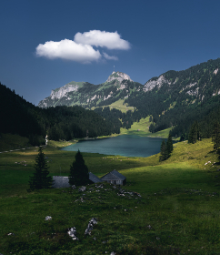 畅享IPX-811在线播放免费，探索精彩内容无限可能