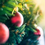 笔盒在线观看地址2:畅享精彩动画,随时随地观看乐趣无穷 kxsph