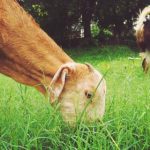 畅享七七影视大全在线观看,尽情体验精彩影视盛宴 q60sbx56aw