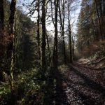 畅享bhhjbbj音乐在线观看,感受无限音乐魅力 qe0ey33r1u