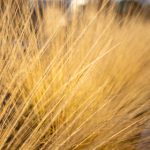 畅享不卡在线影院,尽情观看热门影视剧 tokd1t91