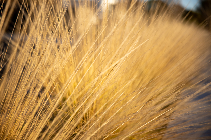 畅享不卡在线影院，尽情观看热门影视剧