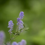 秘密教学免费版:探索全新学习方式,轻松掌握知识技巧 uxoy7