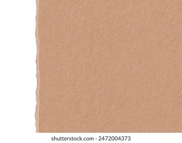 畅享Toptoon免费漫画，尽情探索精彩故事世界