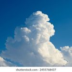 秘密花园在线观看:探索梦幻世界的奇妙旅程与心灵成长 xo8l78z6r