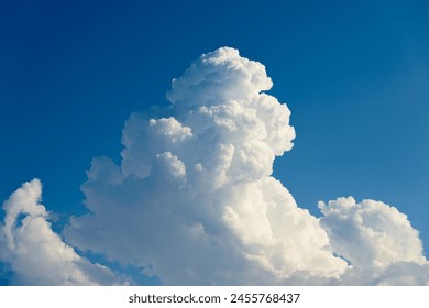 秘密花园在线观看：探索梦幻世界的奇妙旅程与心灵成长